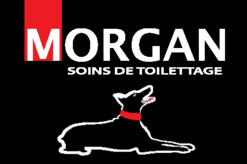 Shampoing pour chien MORGAN
