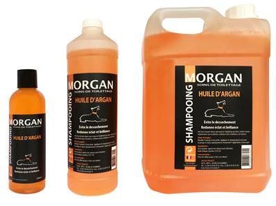 Shampooing huile d'Argan disponible en 250ml, 1L et 5L