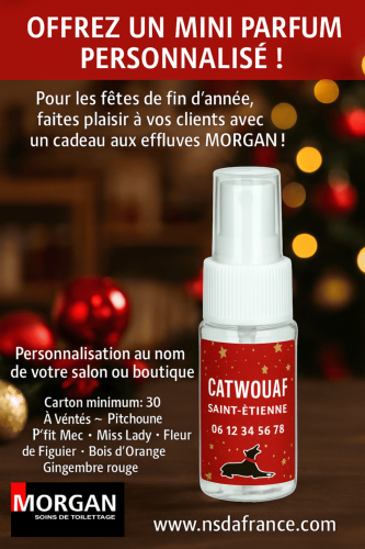 les mini parfums personnalis�s MORGAN pour les f�tes