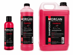 Shampooing Framboise disponible en 250ml, 1L et 5L