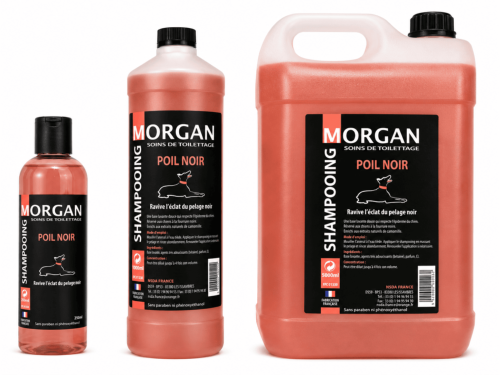 Shampooing poil Noir disponible en 250ml, 1L et 5L