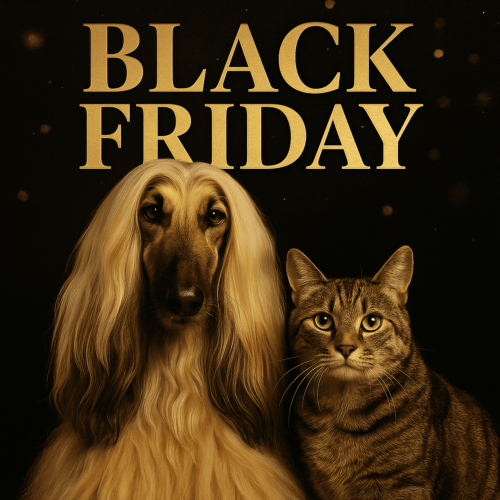 NSDA - BLACK FRIDAY 