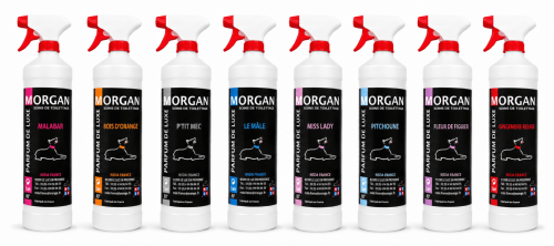 Parfum de luxe Morgan 1L plusieurs senteurs disponibles
