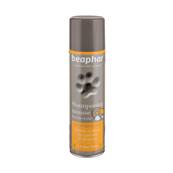 Spray shampooing sec mousse 250ml