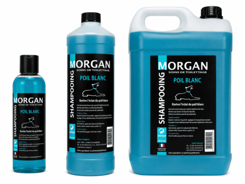 Shampooing poil Blanc disponible en 250ml, 1L et 5L