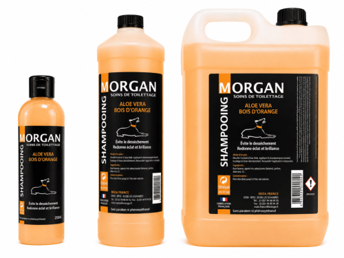 Shampooing ALOE VERA BOIS D'ORANGE  disponible en 250ml, 1L et 5L