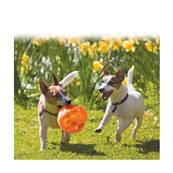 Kong ballon football disponible en plusieurs tailles