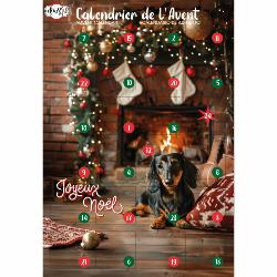 CALENDRIER DE L AVENT NOEL POUR CHIEN DOOGY - ASST BISCUITS 168GR
