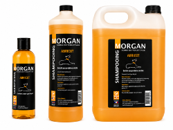 Shampooing Abricot disponible en 250ml, 1L et 5L