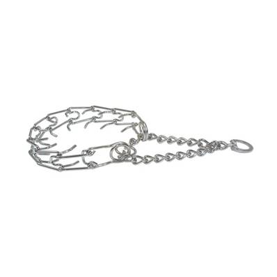 Collier torquatus disponible en plusieurs tailles
