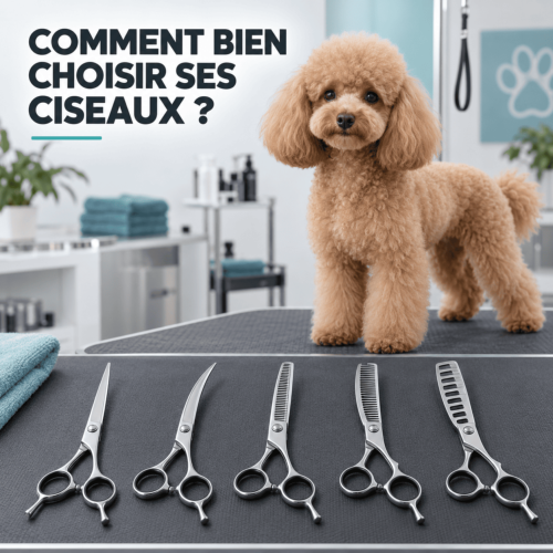 Comment bien choisr ses ciseaux 