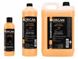 Shampooing ALOE VERA BOIS D'ORANGE  disponible en 250ml, 1L et 5L