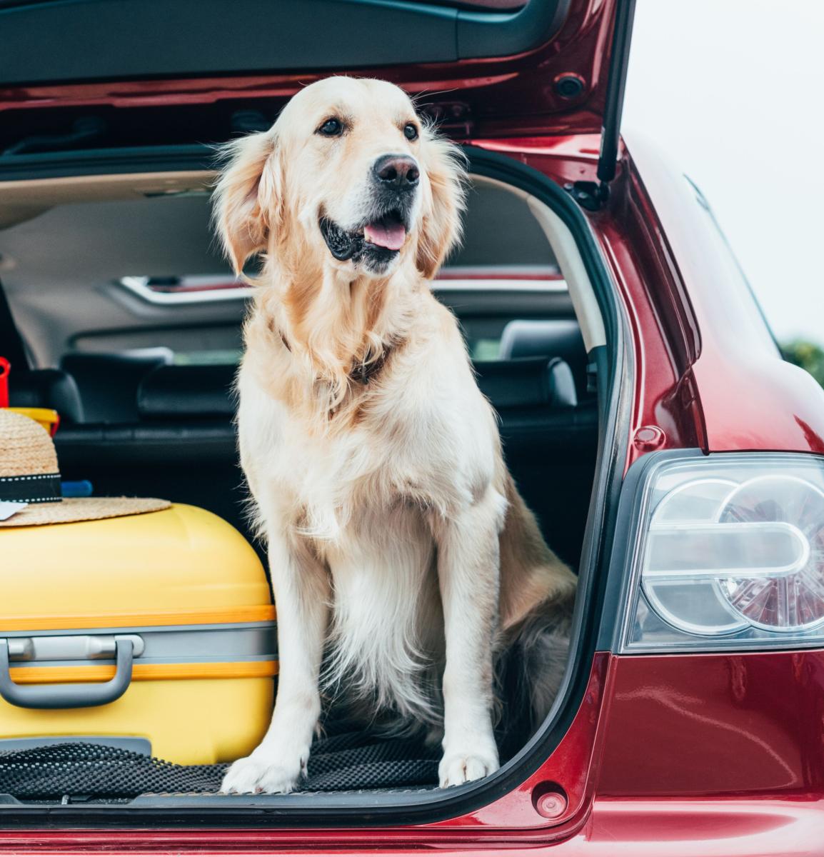 Transport en voiture