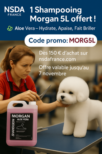 Pourquoi lAloe Vera fait la diffrence dans les shampooings professionnels.