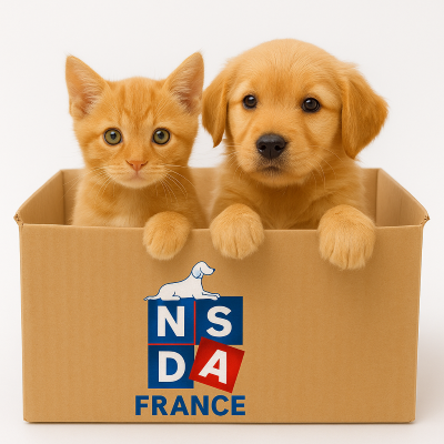 NSDA Livraison rapide