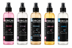 Parfum de luxe MORGAN 250ml plusieurs senteurs disponibles