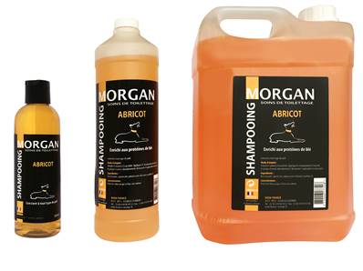 Shampooing Abricot disponible en 250ml, 1L et 5L