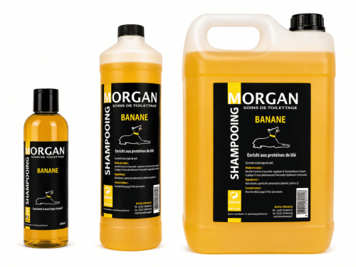 Shampooing Banane disponible en 250ml, 1L et 5L