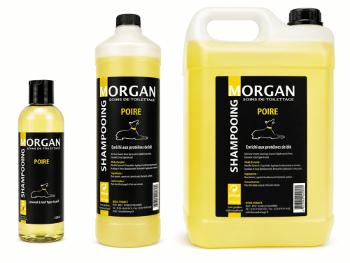 Shampooing Poire disponible en 250ml, 1L et 5L