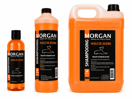 Shampooing Jojoba disponible en 250ml, 1L et 5L