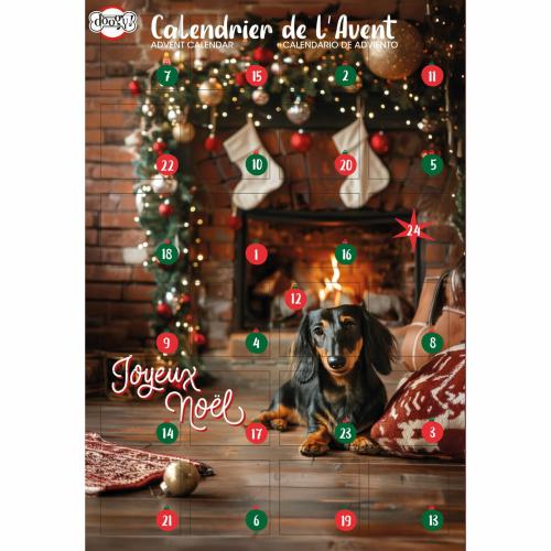 CALENDRIER DE L AVENT NOEL POUR CHIEN DOOGY - ASST BISCUITS 168GR