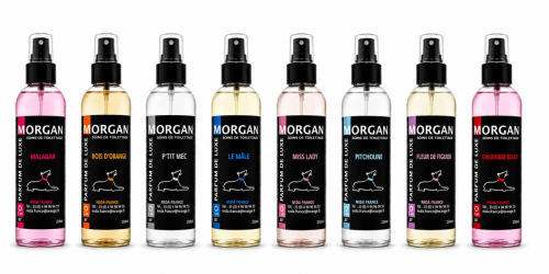 Parfum de luxe MORGAN 250ml plusieurs senteurs disponibles