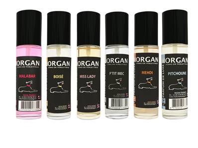 Parfum de luxe Morgan 60ml plusieurs senteurs disponibles