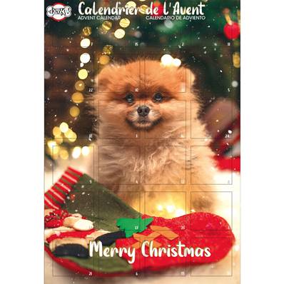 CALENDRIER DE L AVENT POUR CHIEN DOOGY - ASST BISCUITS 168GR