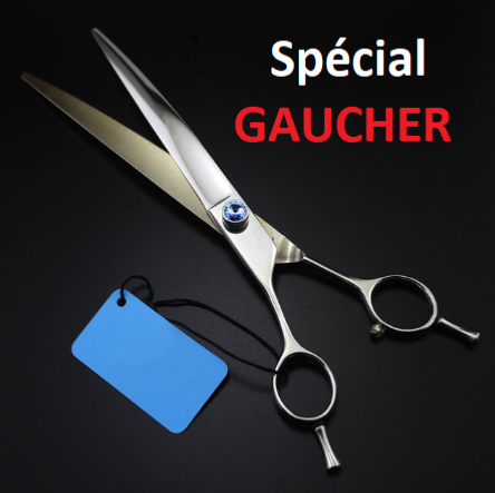 Spcial GAUCHER