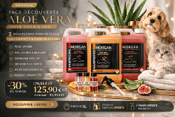 Pack Aloe Vera PRO -30% de 3 shampooings professionnels 5L