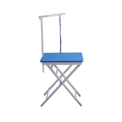 TABLE PLIANTE PORTABLE PLASTIQUE BLEUE 60X45X73 (82) CM 8 KG