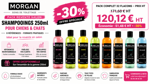 Pack Revente Shampooings MORGAN 250 ml – 32 flacons (-30% HT)