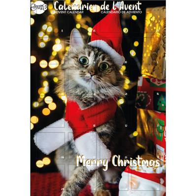 CALENDRIER DE L AVENT POUR CHAT DOOGY - ASST BISCUITS 96GR