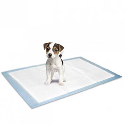 Tapis éducateur absorbant 40X60cm