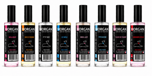 Parfum de luxe Morgan 60ml plusieurs senteurs disponibles