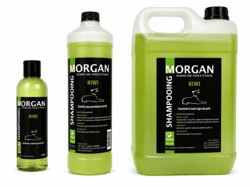 Shampooing Kiwi disponible en 250ml, 1L et 5L