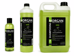 Shampooing Kiwi disponible en 250ml, 1L et 5L