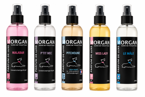 Parfum de luxe MORGAN 250ml plusieurs senteurs disponibles
