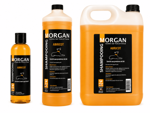 Shampooing Abricot disponible en 250ml, 1L et 5L