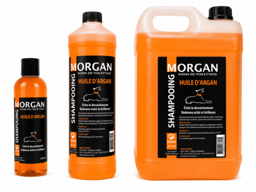 Shampooing huile d'Argan disponible en 250ml, 1L et 5L